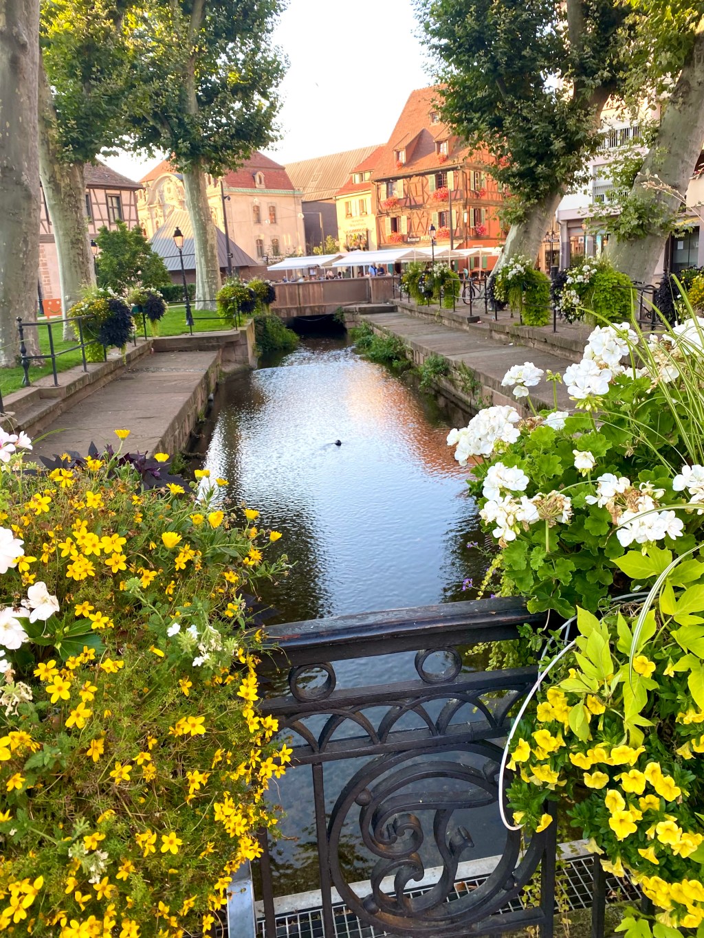 Germany’s Black Forest and France’s Fairytale&nbsp;Town