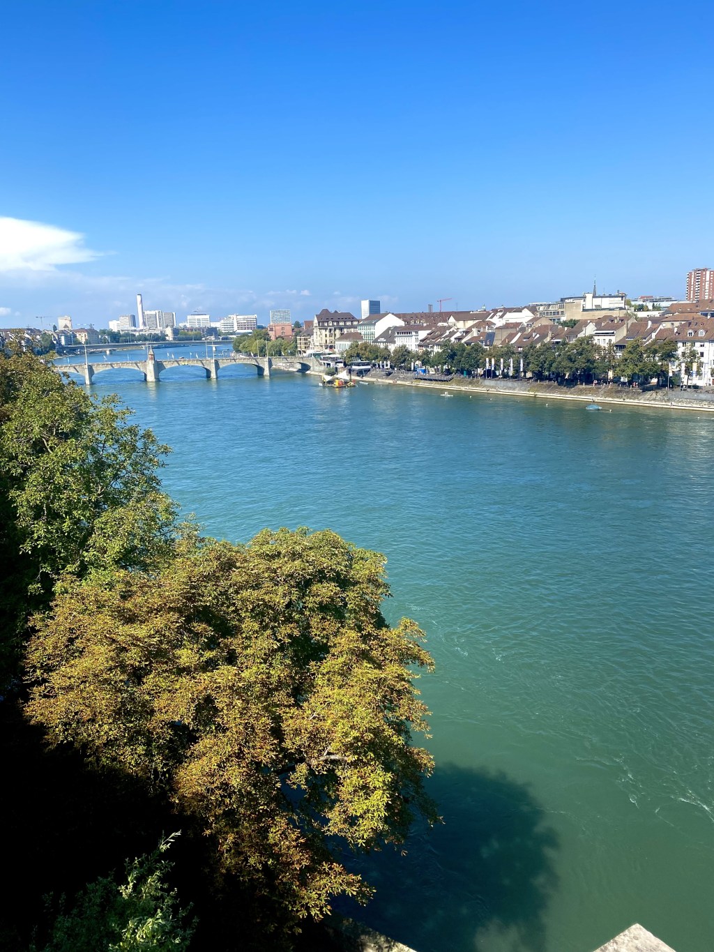 Rhine bright, like a&nbsp;diamond!