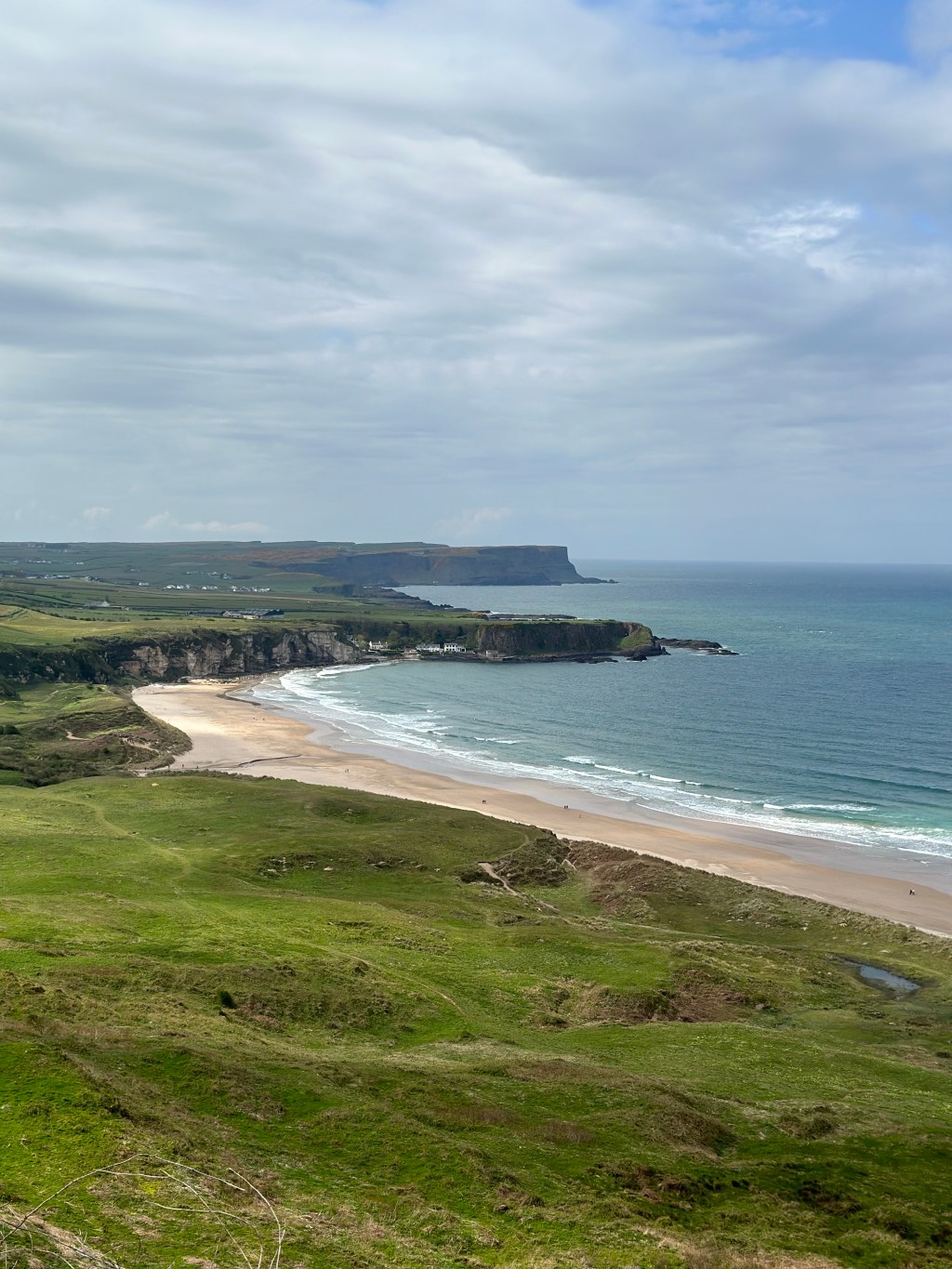 Ready to sham-rock &&nbsp;roll!