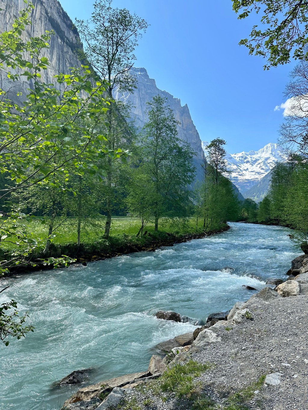 Having a Swiss-sational&nbsp;time!